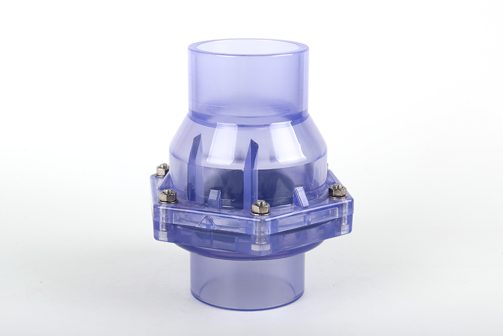 西市透明翻板式止回阀